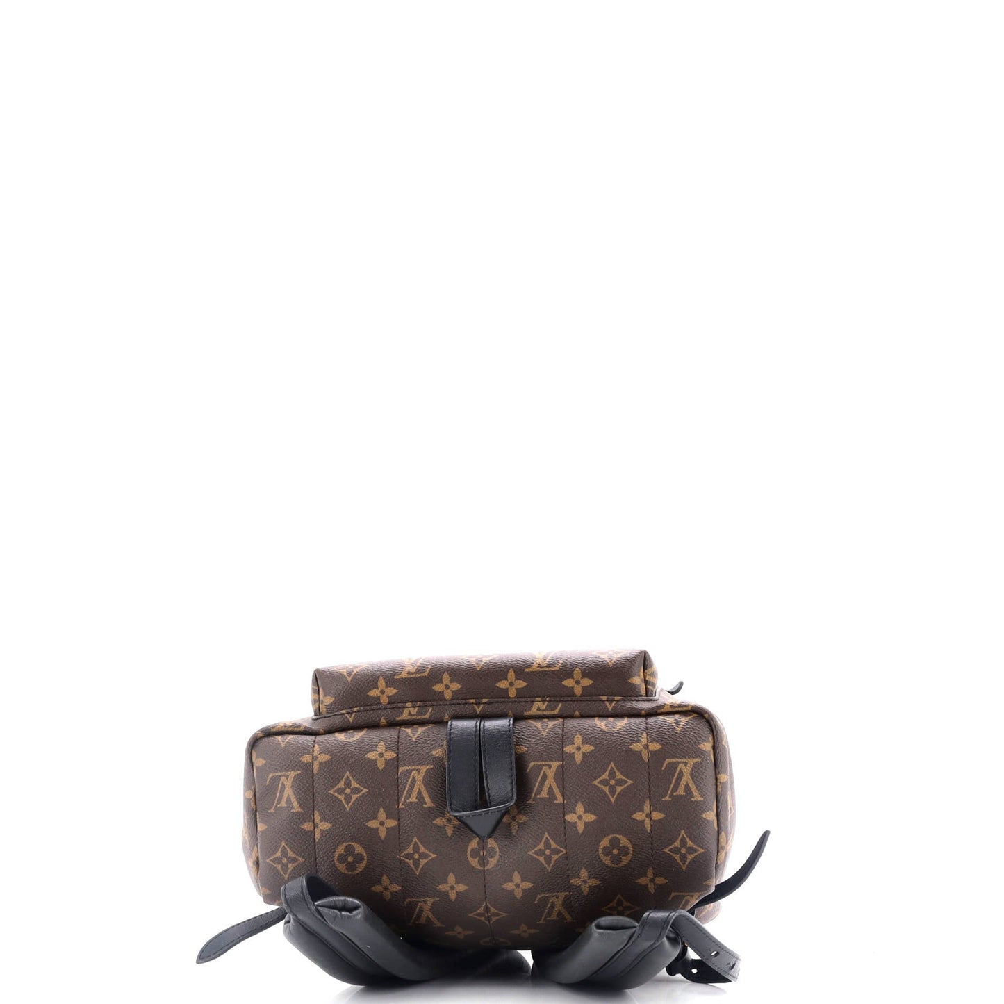 Palm Springs Backpack Monogram Canvas MM