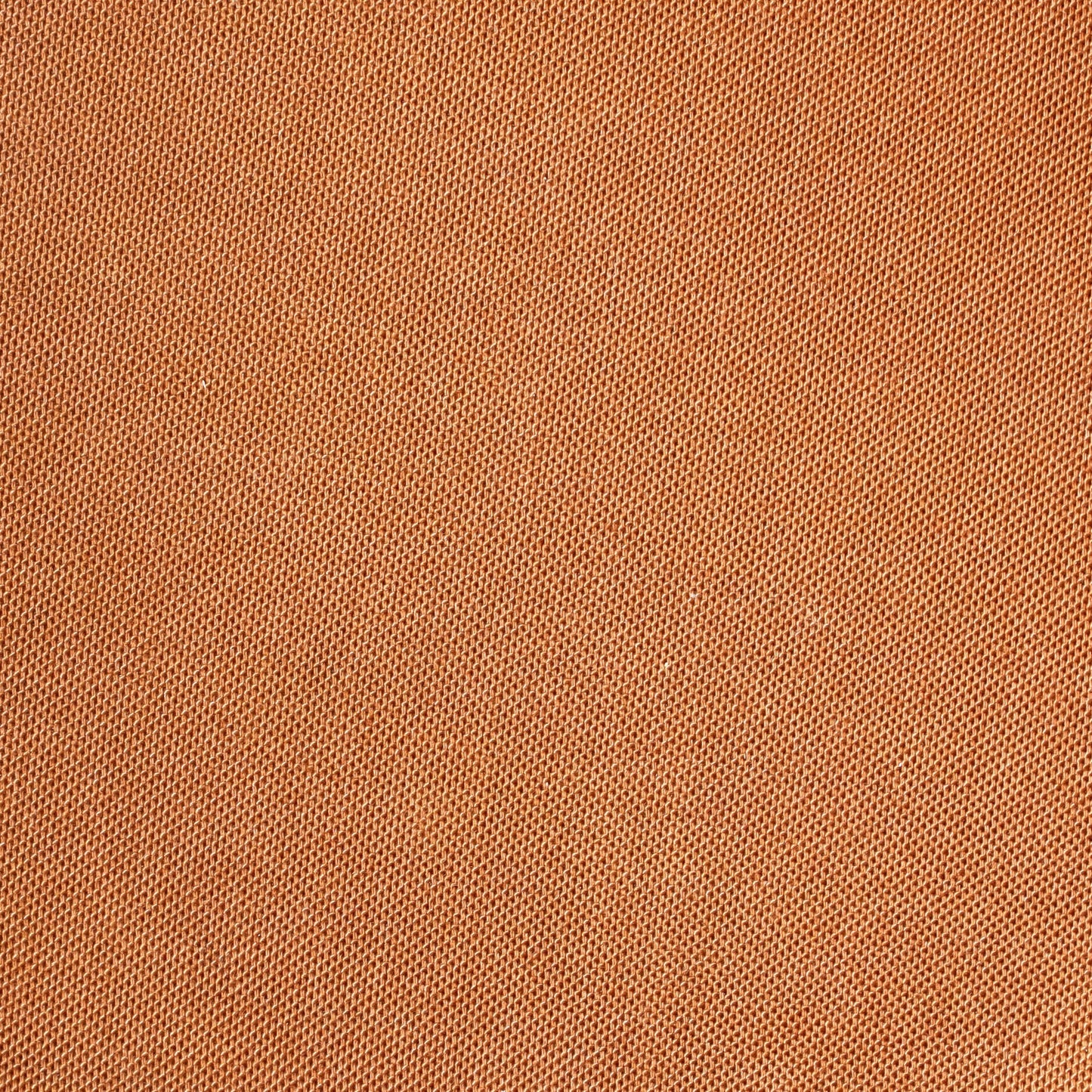 Palermo Handbag Monogram Canvas GM