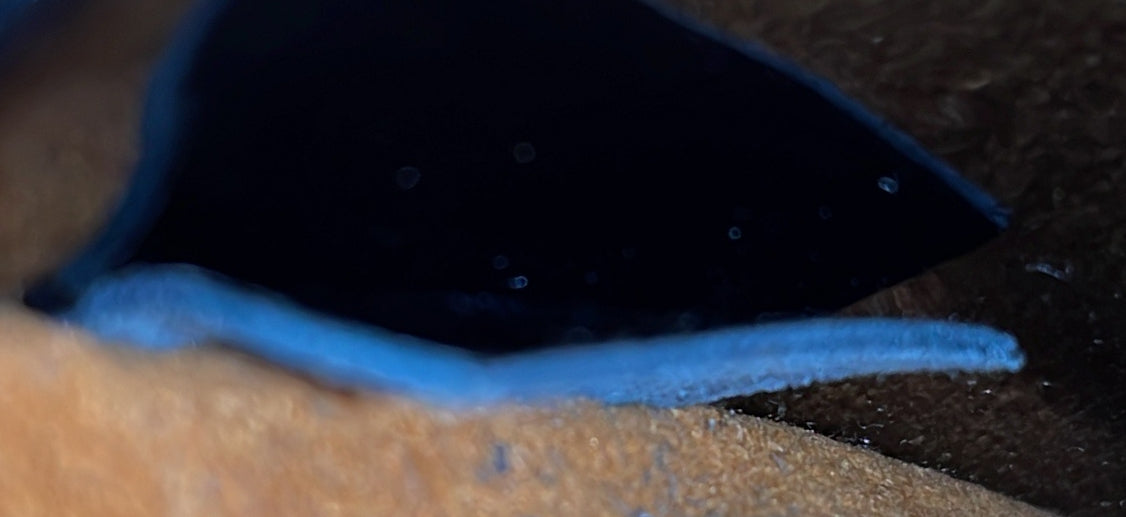 Wynwood Handbag Monogram Vernis with Monogram Canvas and Epi Leather