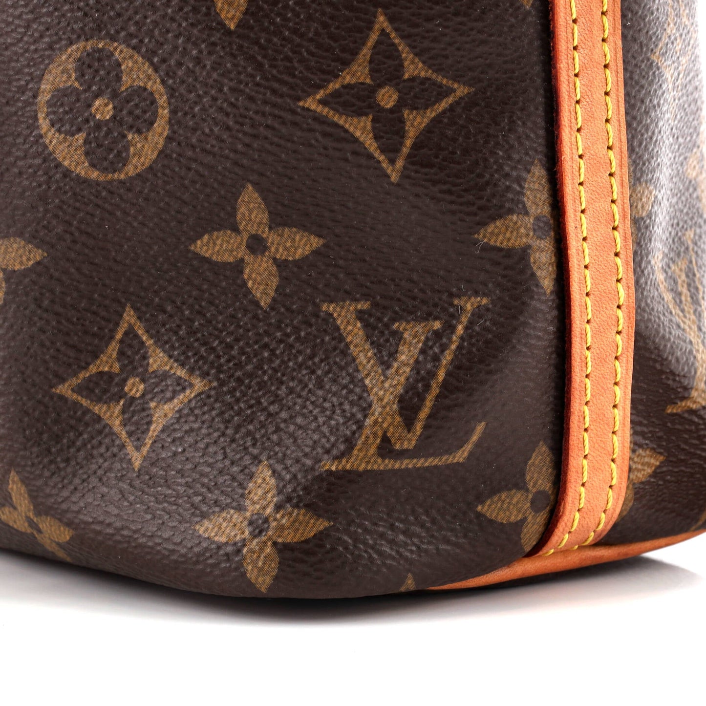 Noe Handbag Monogram Canvas Nano