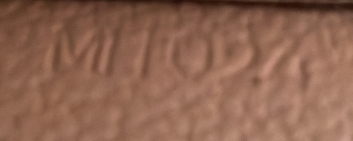 Sac Plat Bag Monogram Canvas