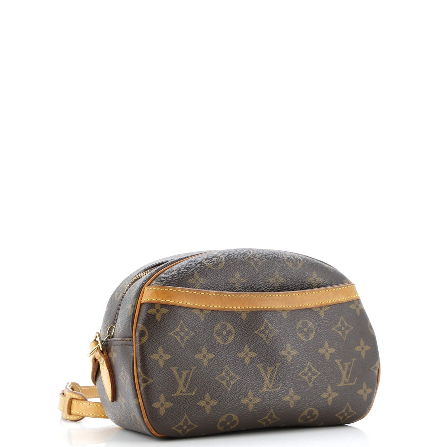 Blois Handbag Monogram Canvas