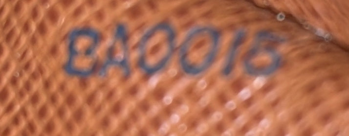 Blois Handbag Monogram Canvas