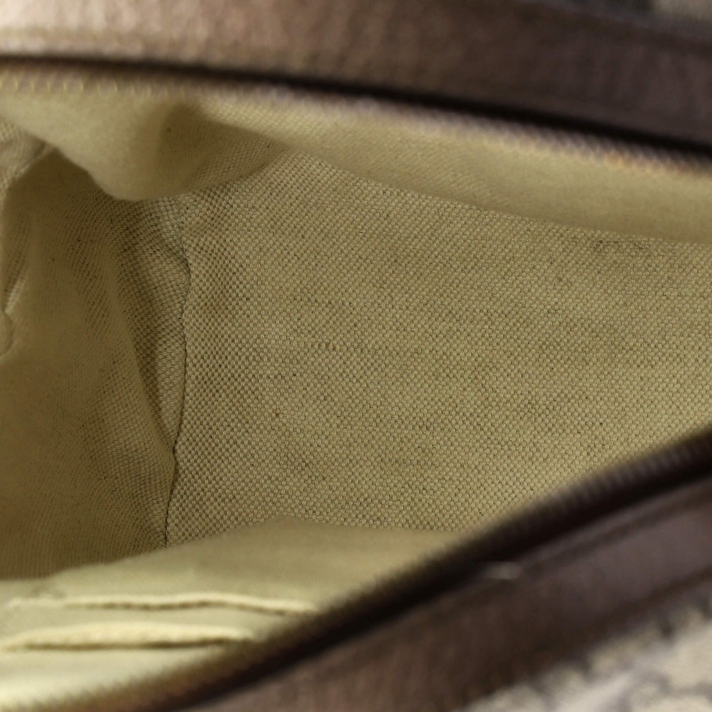 Ophidia Backpack GG Coated Canvas and Leather Small