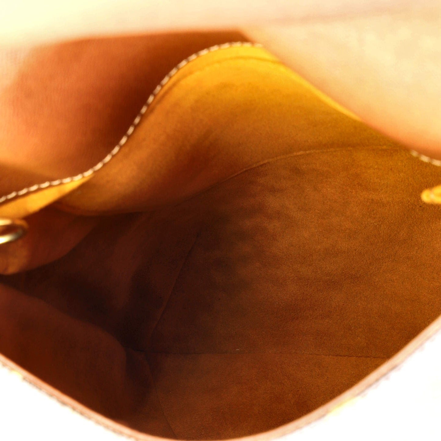 Musette Salsa Handbag Monogram Canvas GM