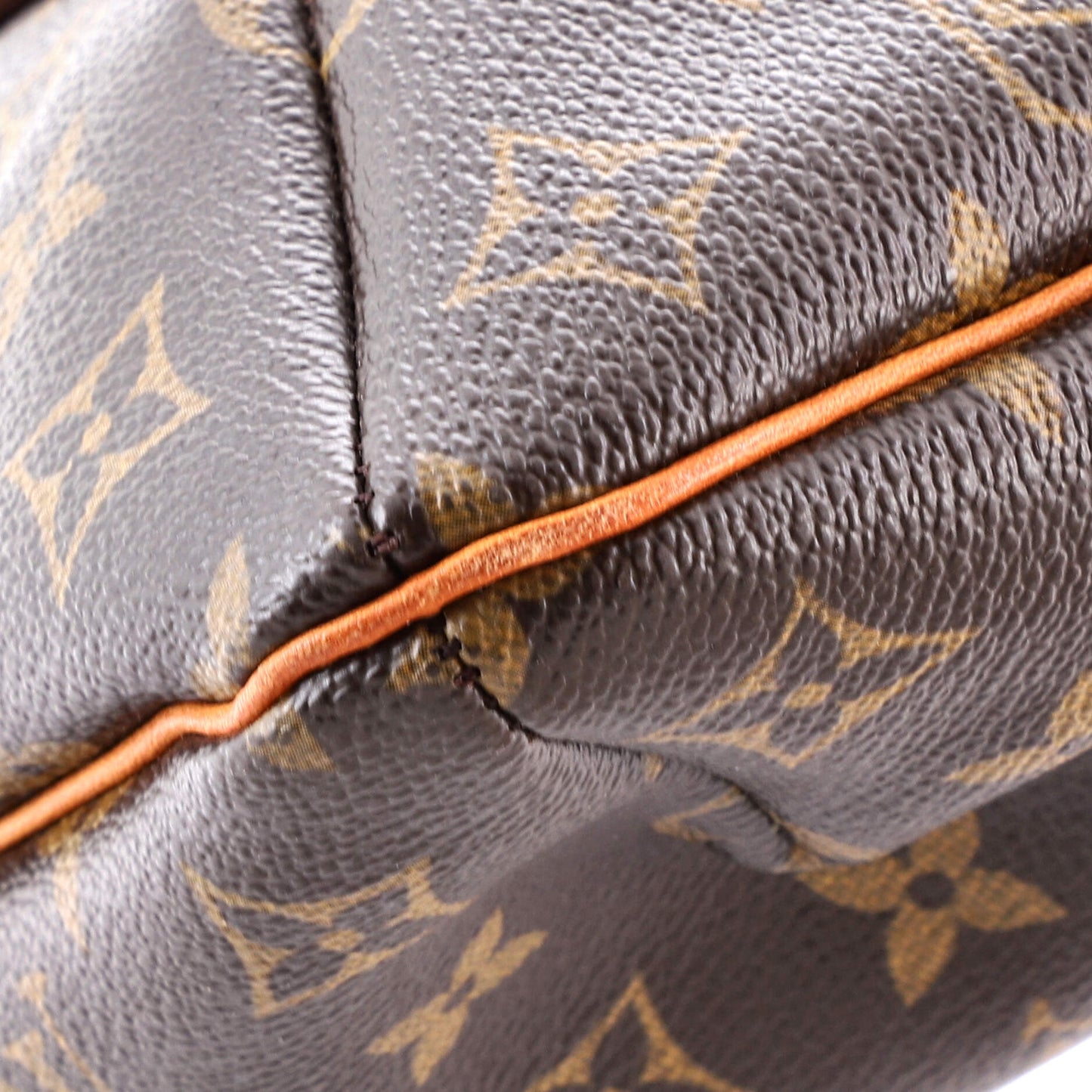 Musette Salsa Handbag Monogram Canvas GM