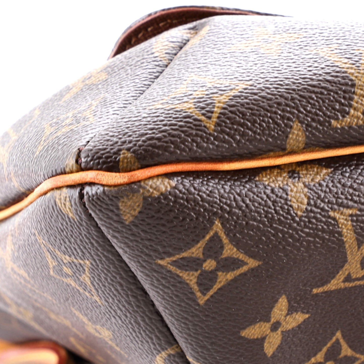 Musette Salsa Handbag Monogram Canvas GM