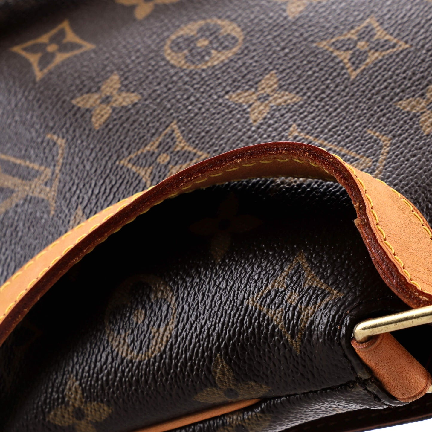 Musette Salsa Handbag Monogram Canvas GM