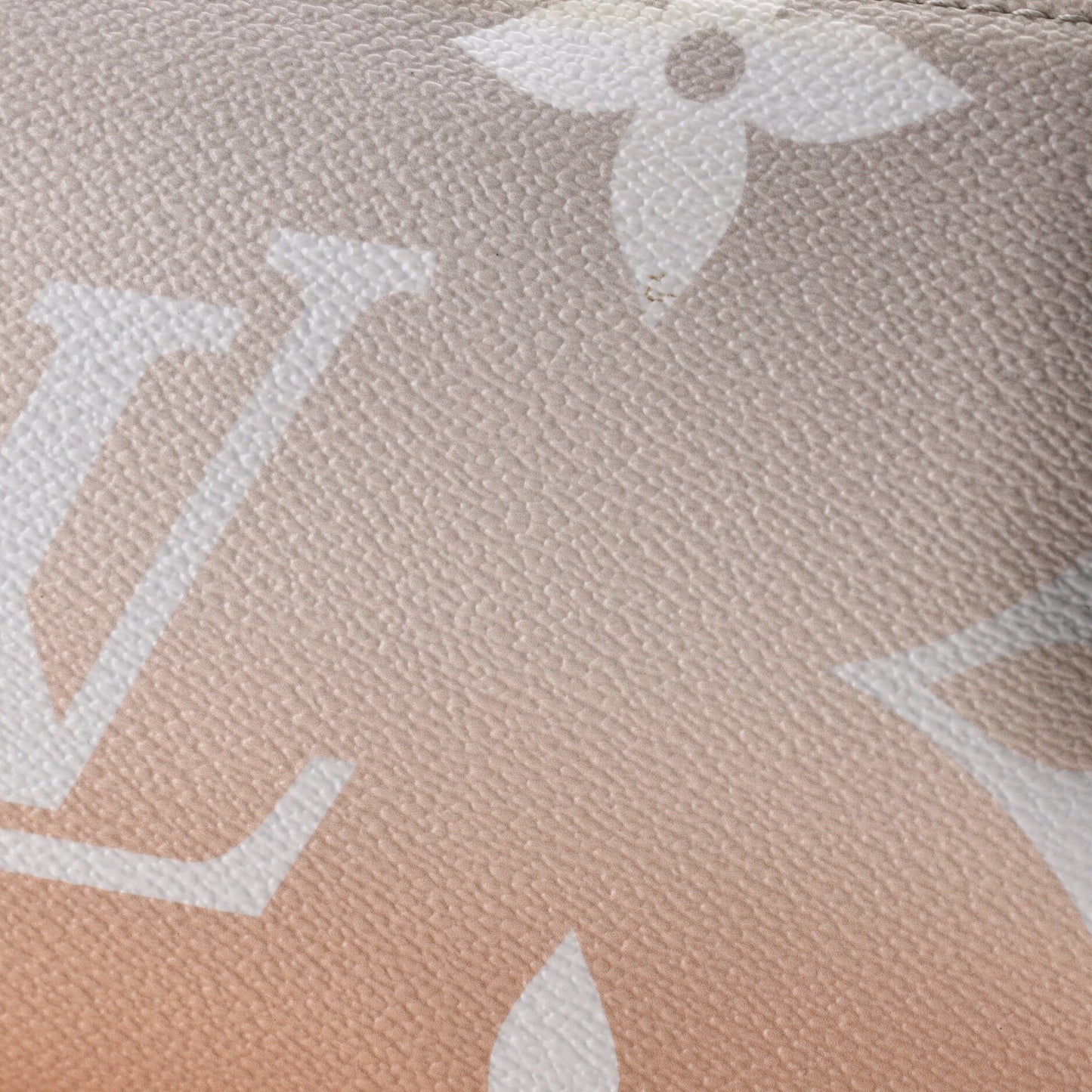 Multi Pochette Accessoires By The Pool Monogram Giant