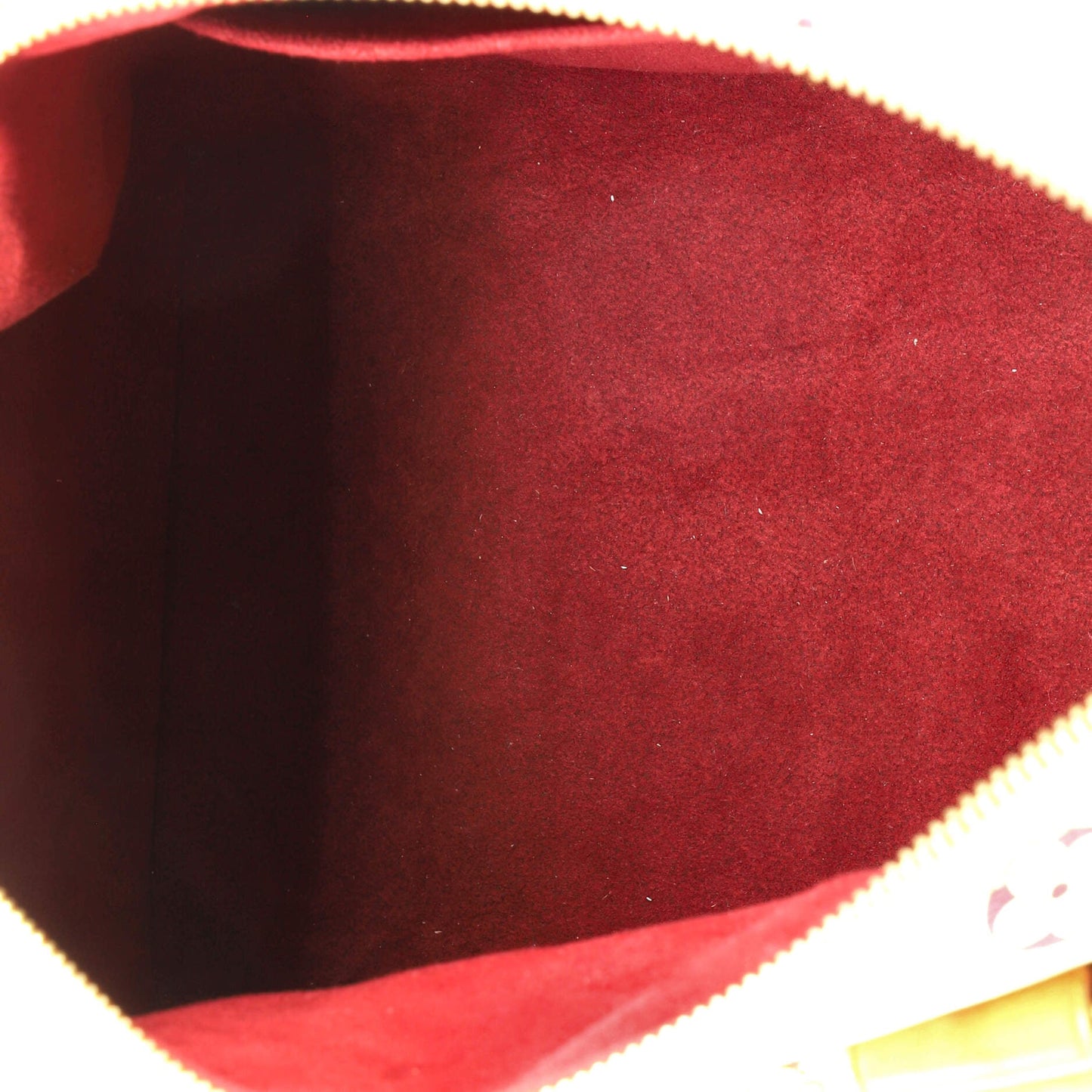 Speedy Handbag Monogram Multicolor 30