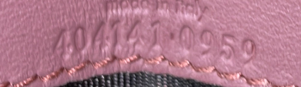 Dionysus Chain Wallet Blooms Print GG Coated Canvas Long