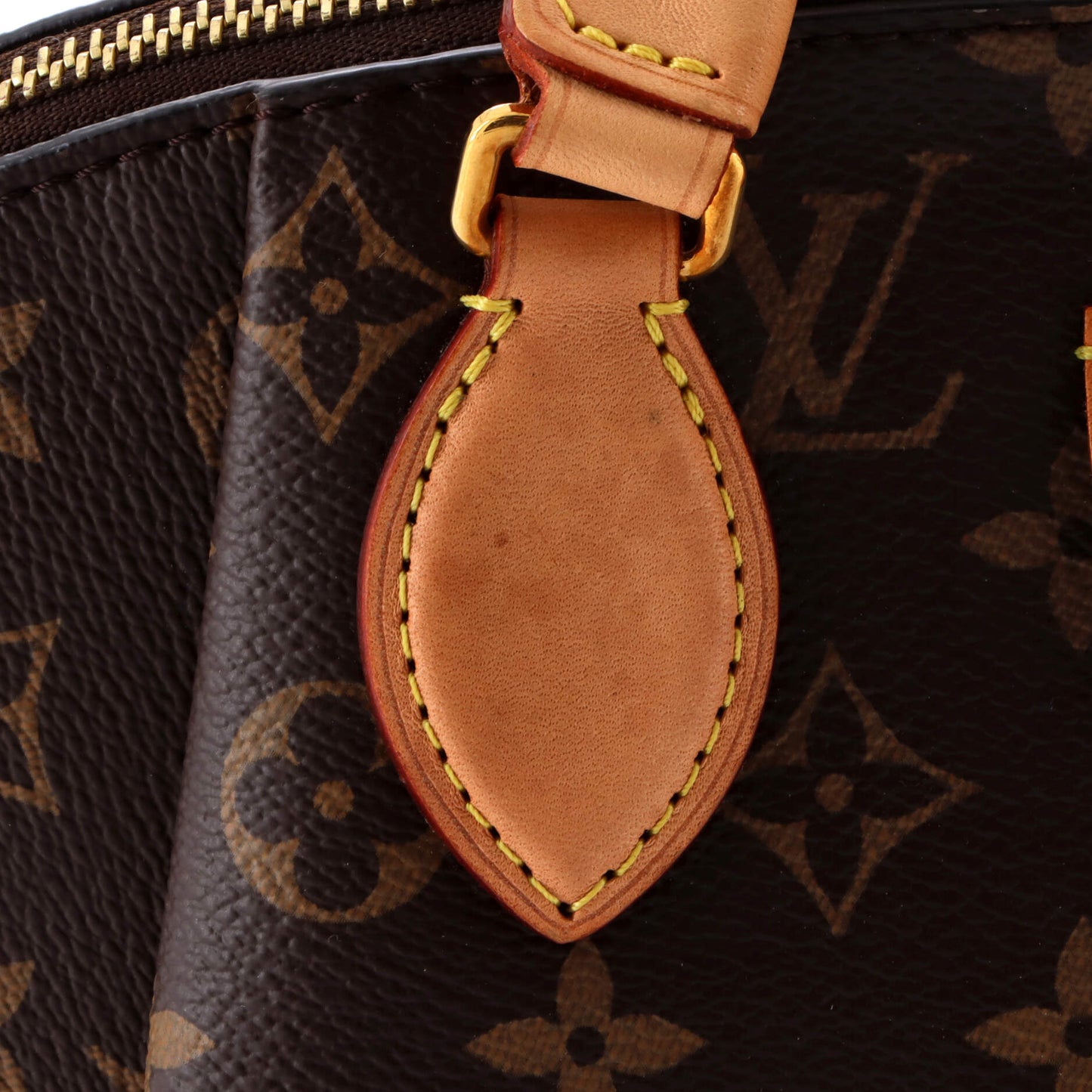 Rivoli Handbag Monogram Canvas PM