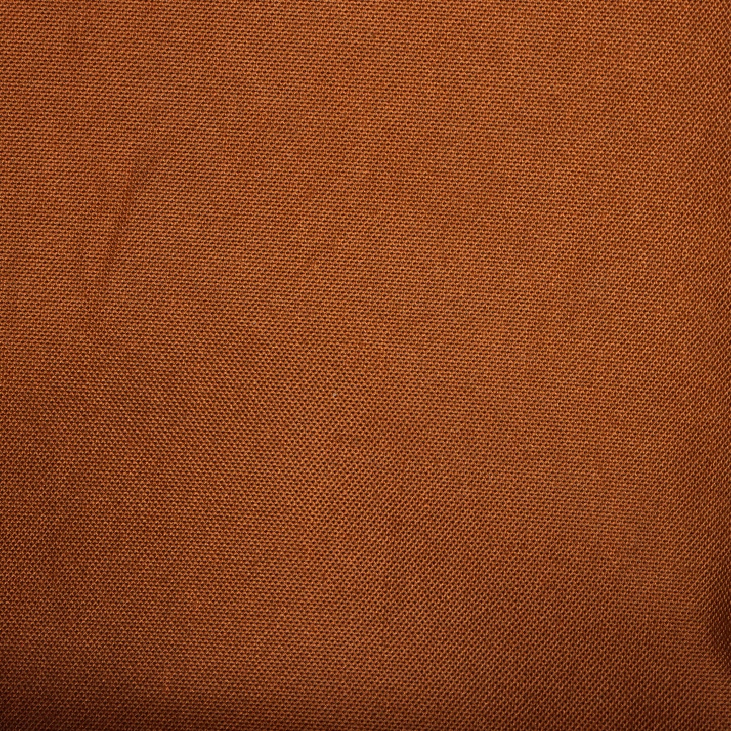 Speedy Bandouliere Bag Monogram Canvas 35