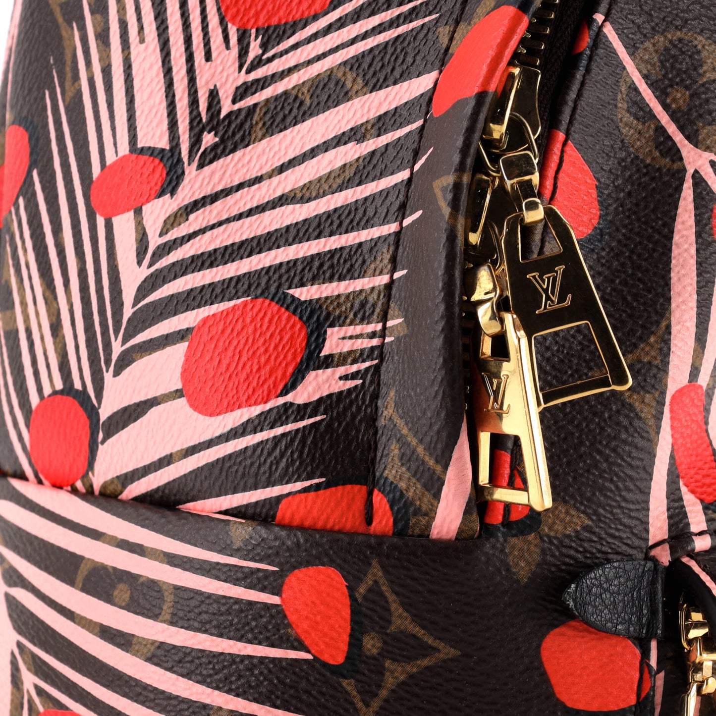 Palm Springs Backpack Limited Edition Monogram Jungle Dots PM