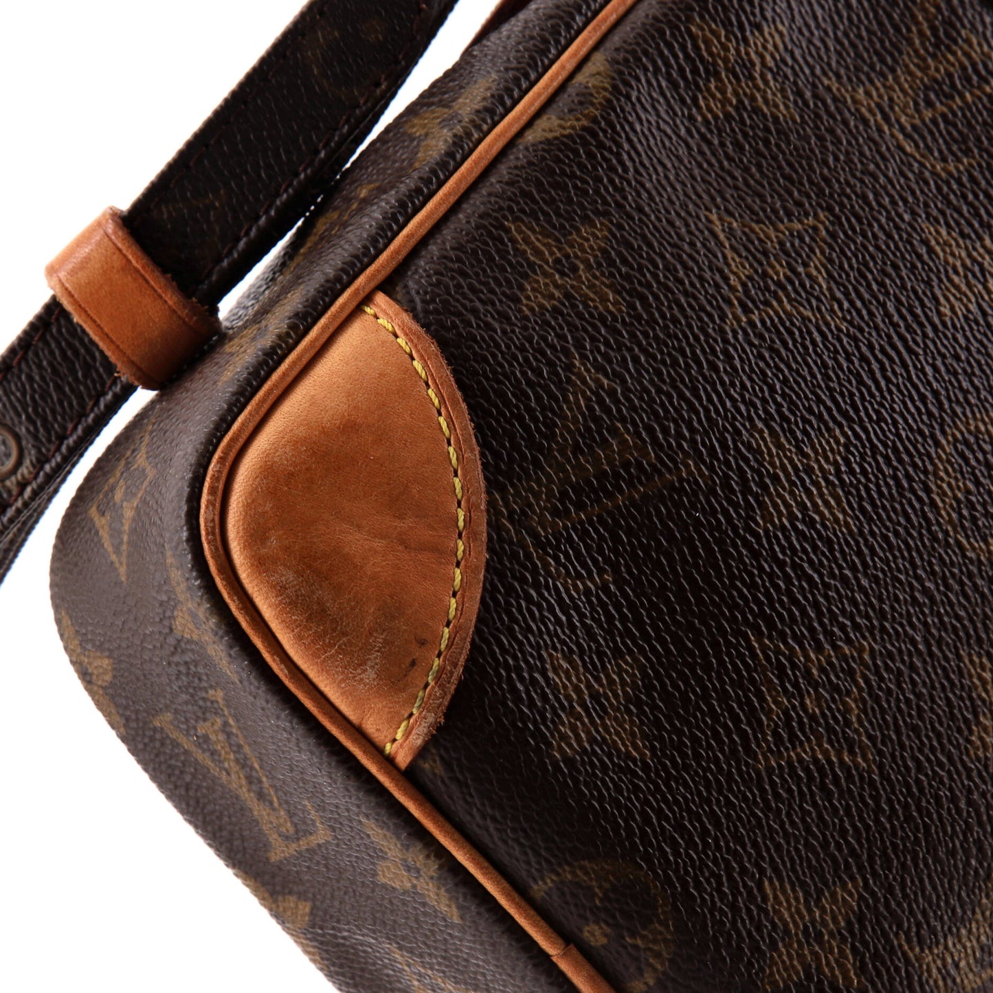Danube Handbag Monogram Canvas