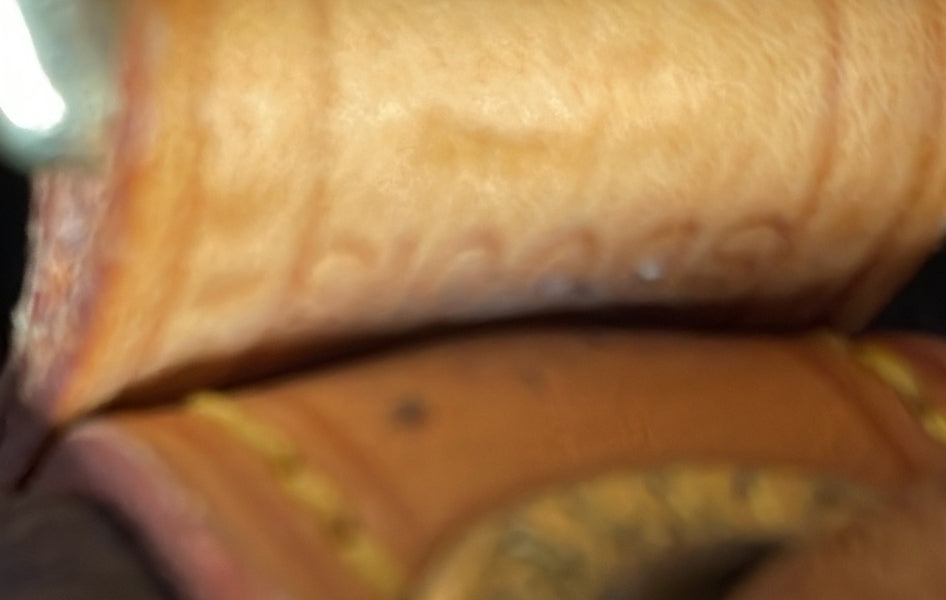 Petit Noe Handbag Monogram Canvas