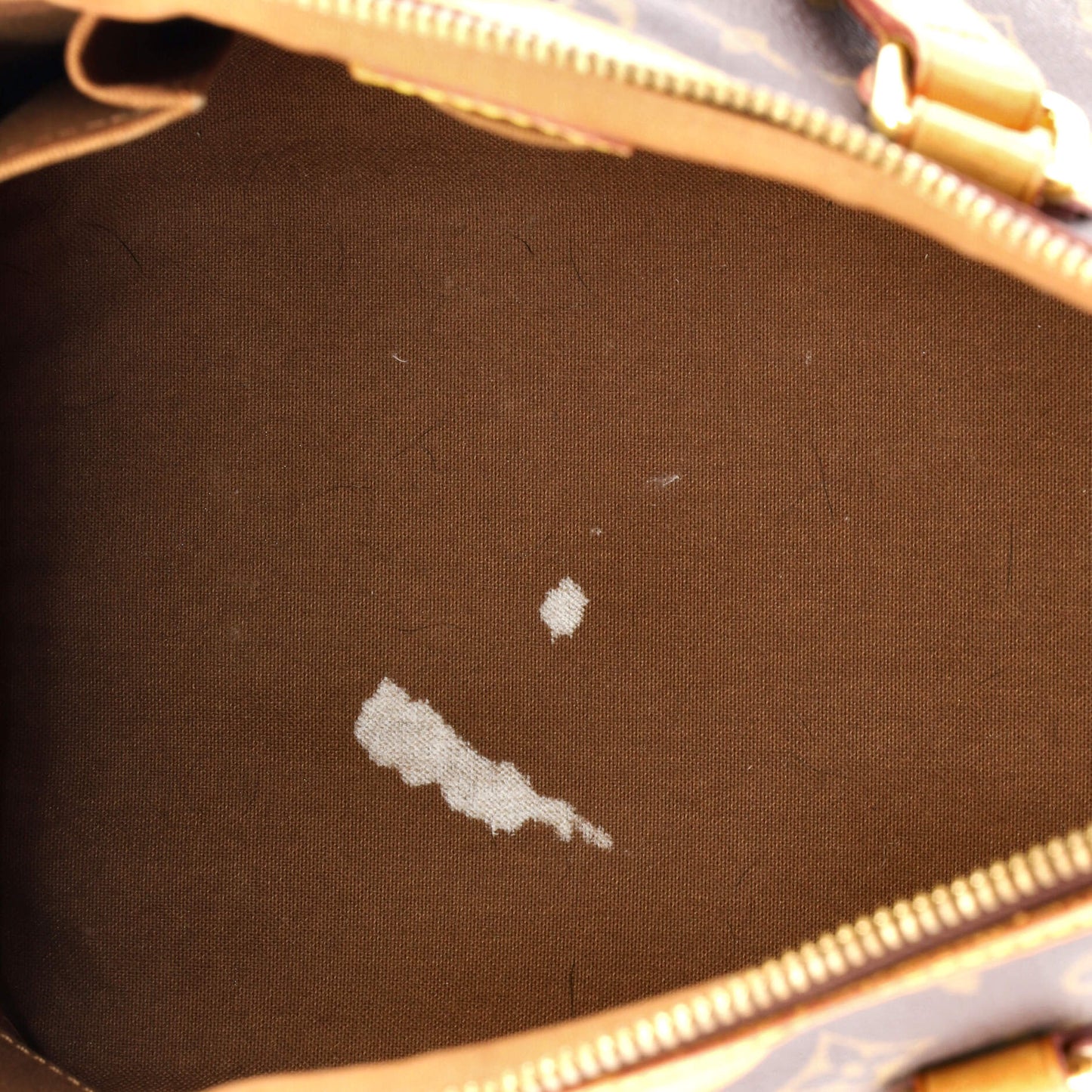 Palermo Handbag Monogram Canvas PM