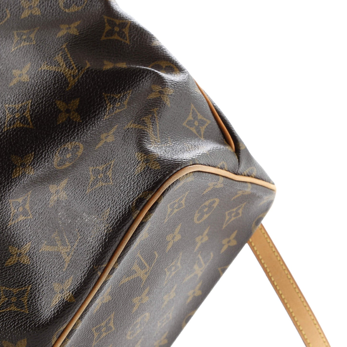 Palermo Handbag Monogram Canvas PM