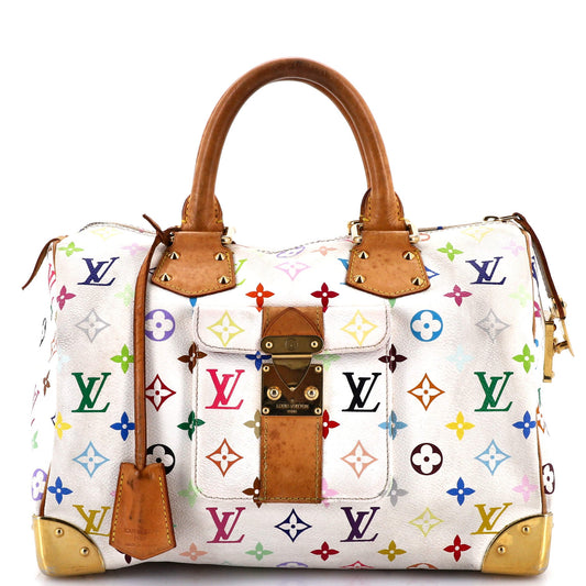Speedy Handbag Monogram Multicolor 30