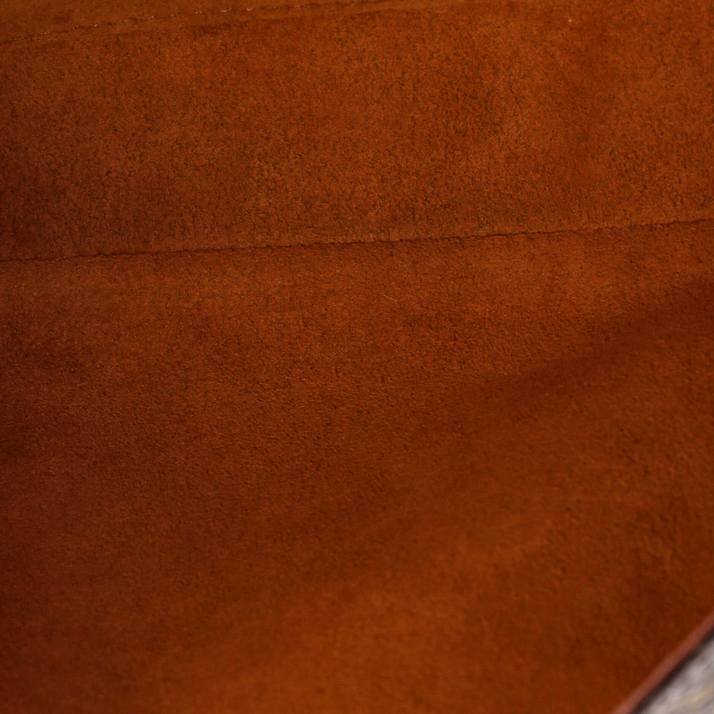 Musette Tango Handbag Monogram Canvas