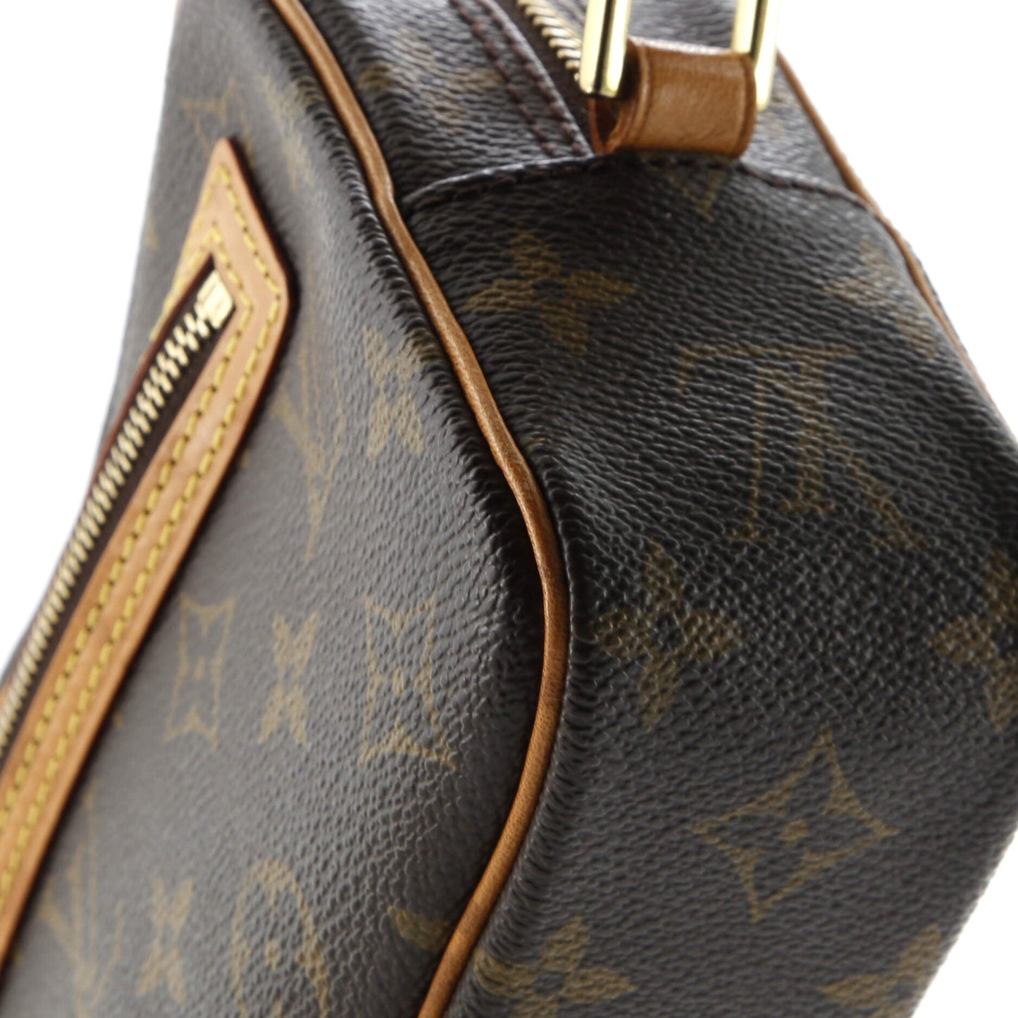 Cite Pochette Monogram Canvas