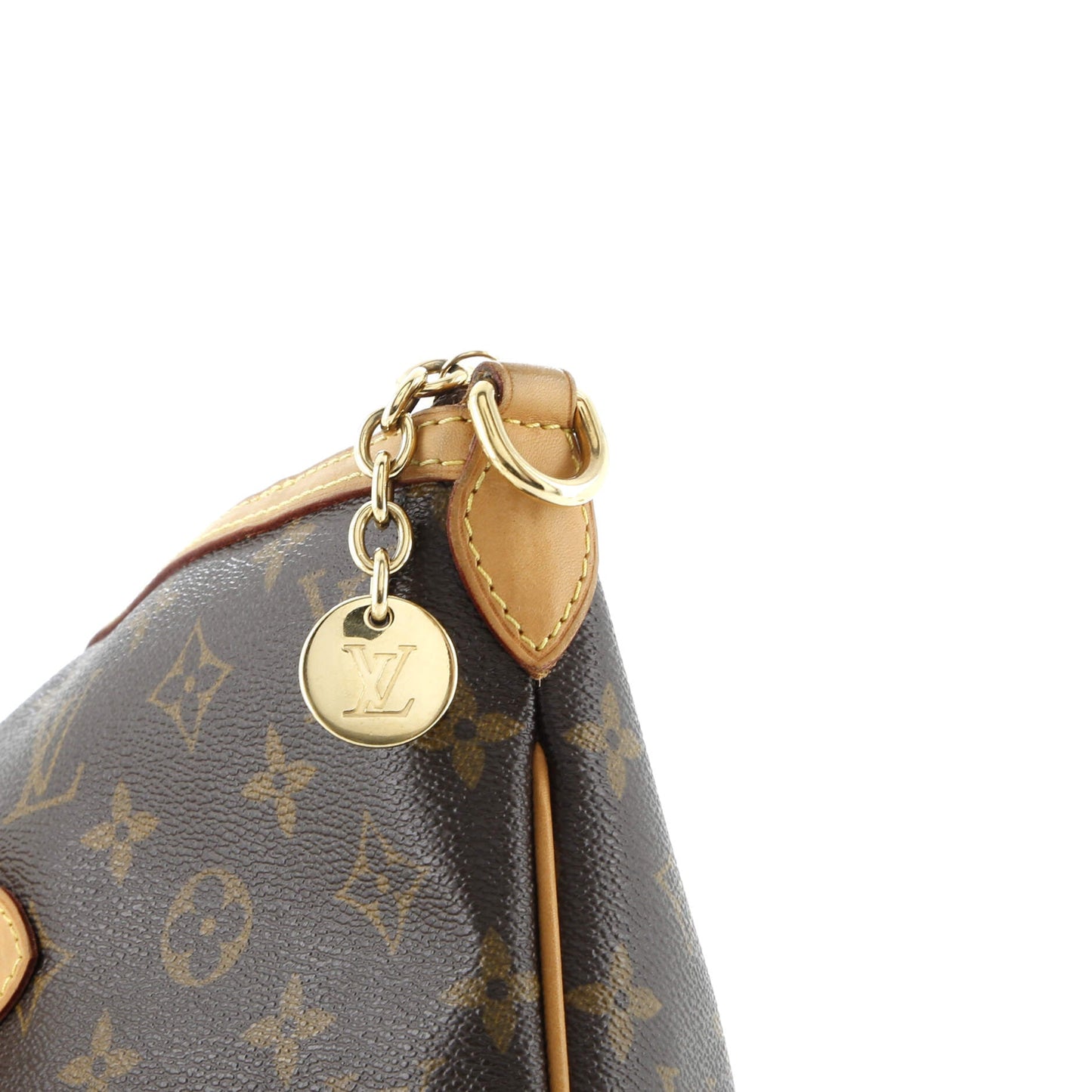 Palermo Handbag Monogram Canvas GM