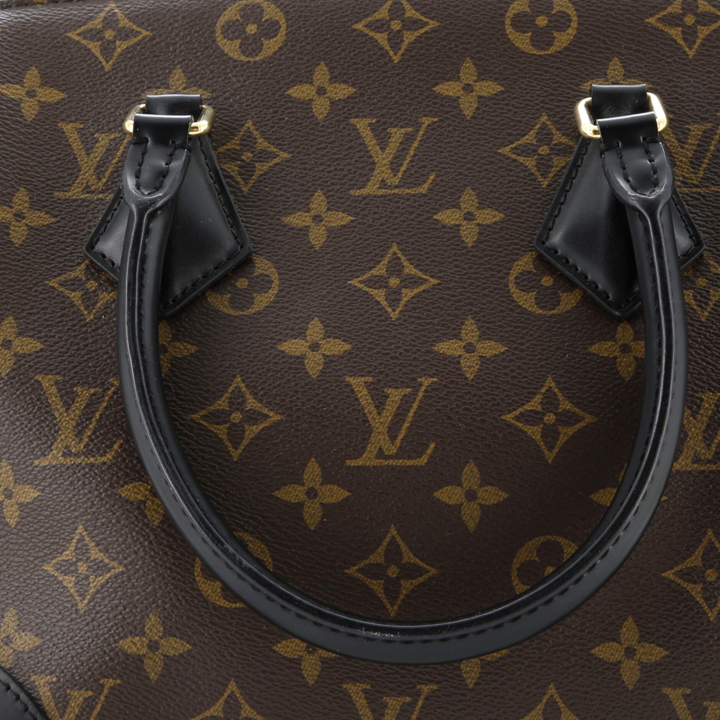 Phenix Tote Monogram Canvas with Leather MM