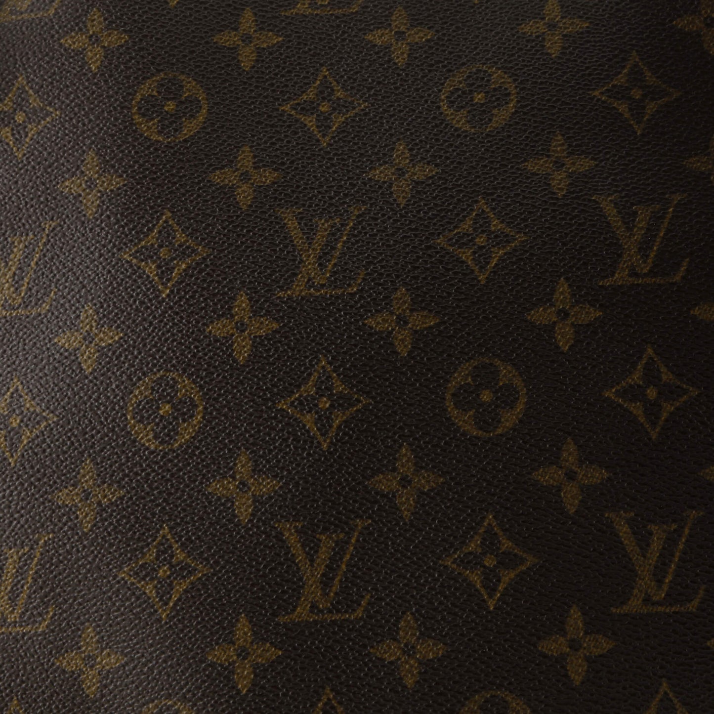 Musette Salsa Handbag Monogram Canvas GM