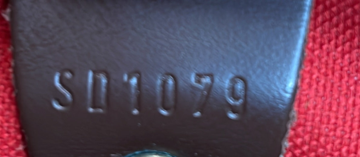 Speedy Handbag Damier 30