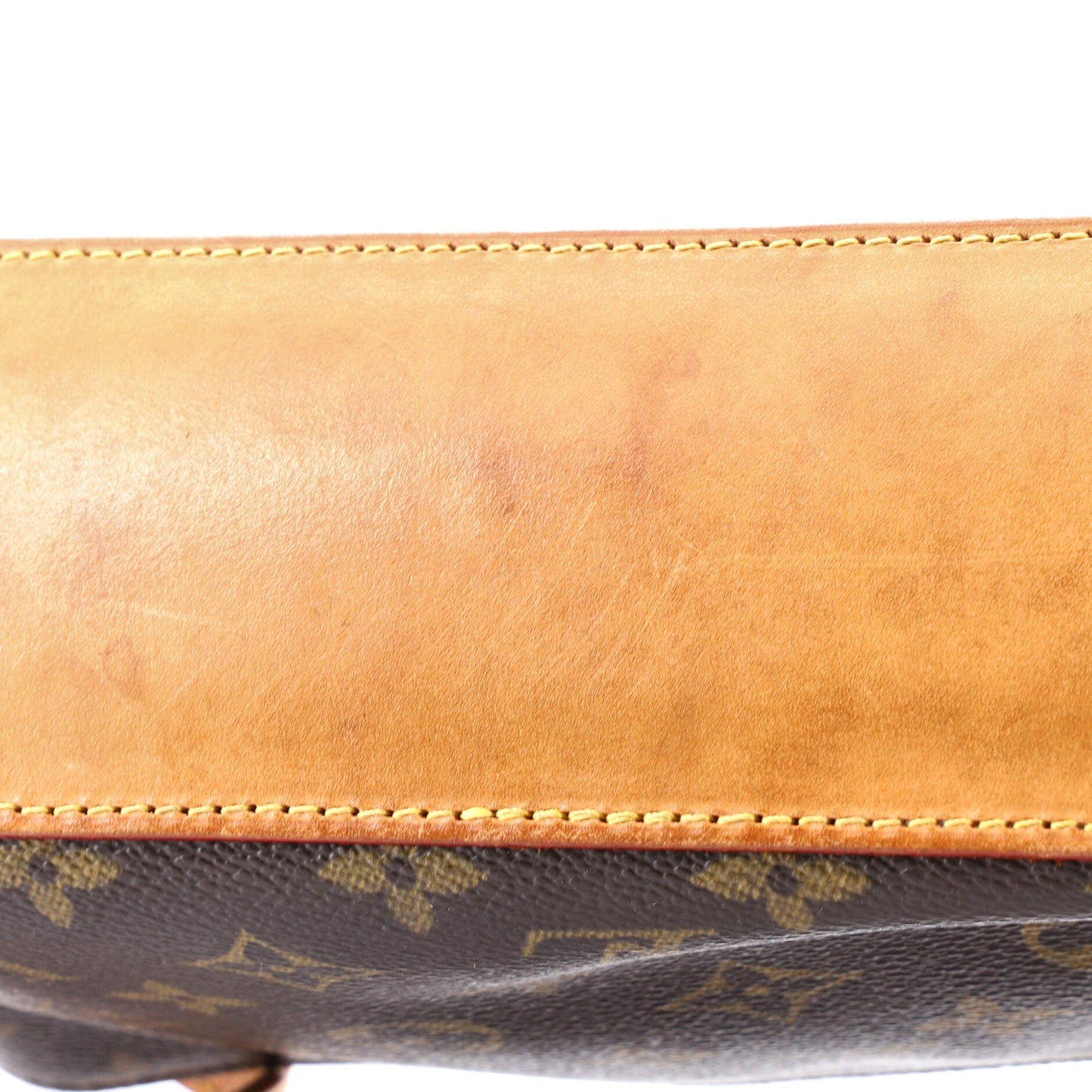 Trotteur Handbag Monogram Canvas