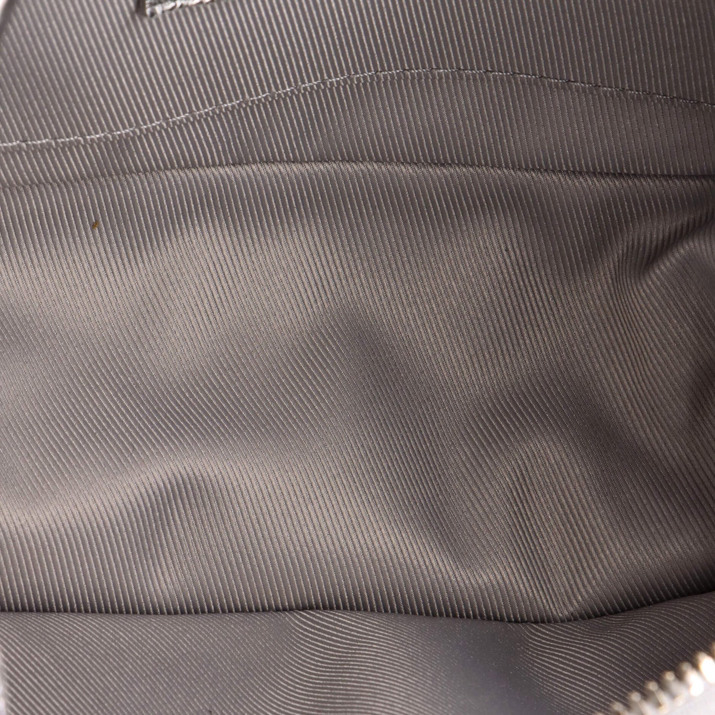 Soft Trunk Bag Crushed Metallic Calfskin Leather Mini