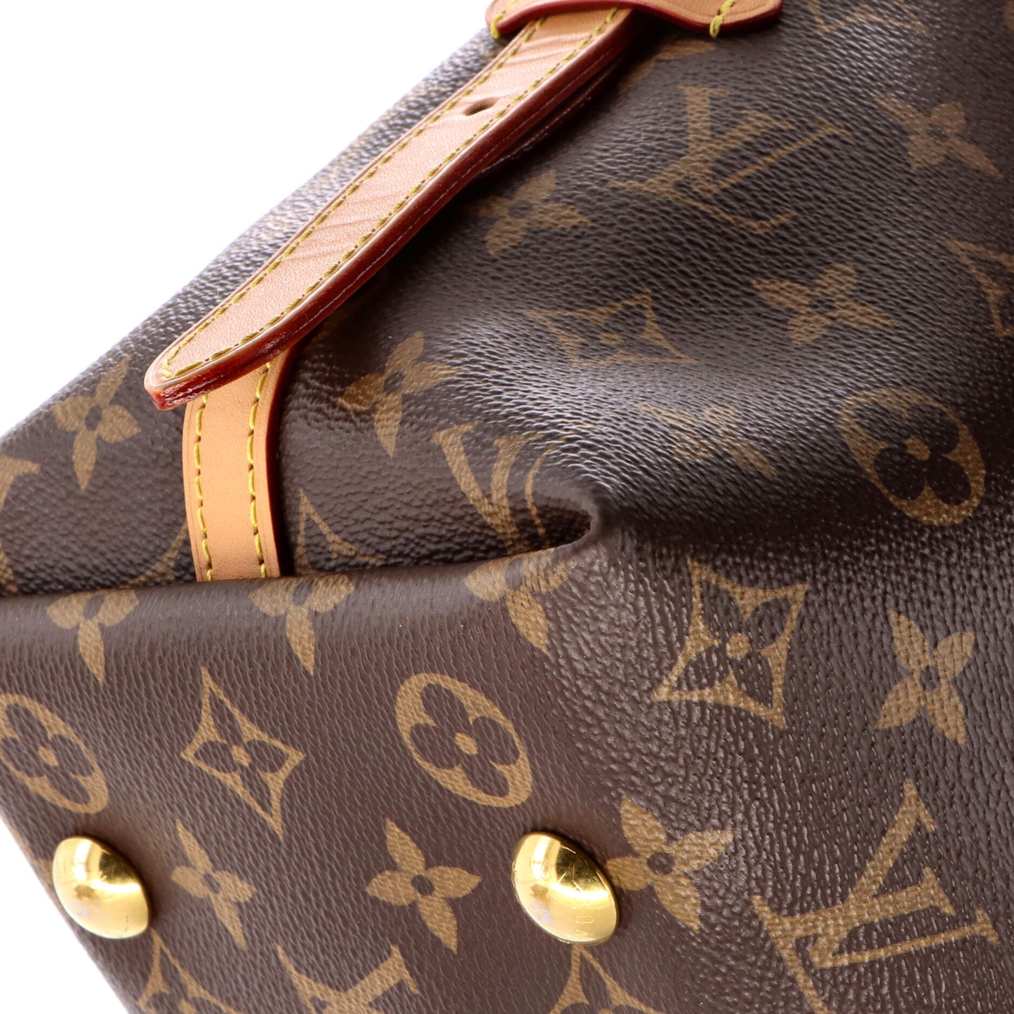 CarryAll Hobo Monogram Canvas PM