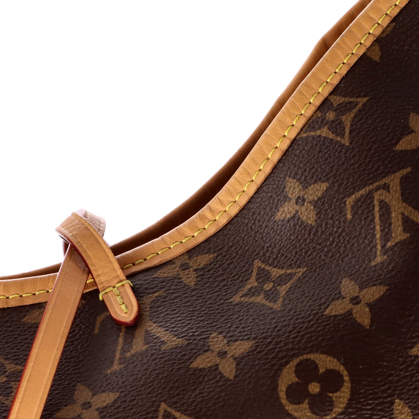 CarryAll Hobo Monogram Canvas PM