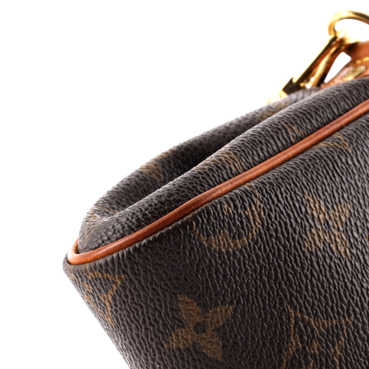 Eva Handbag Monogram Canvas