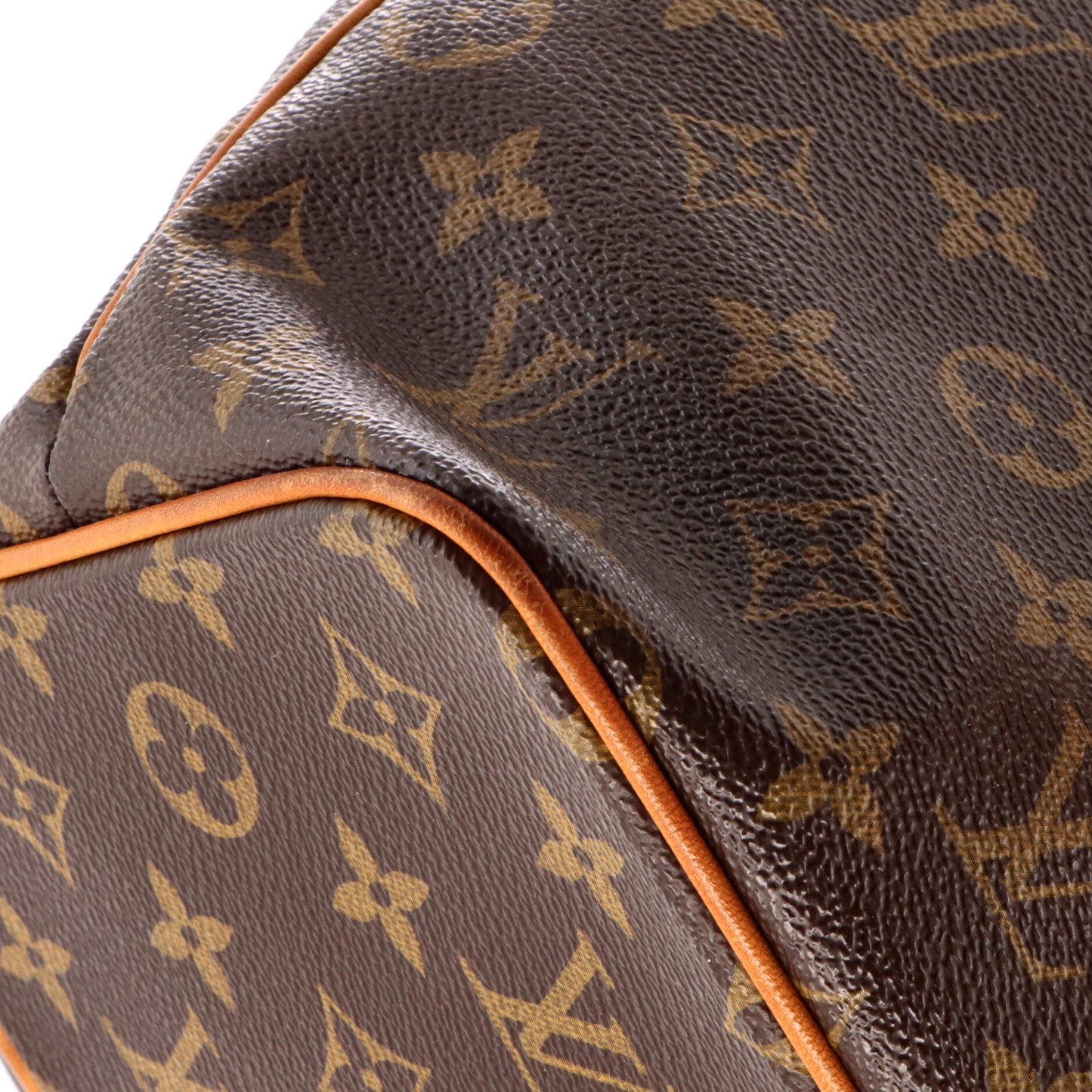 Palermo Handbag Monogram Canvas PM