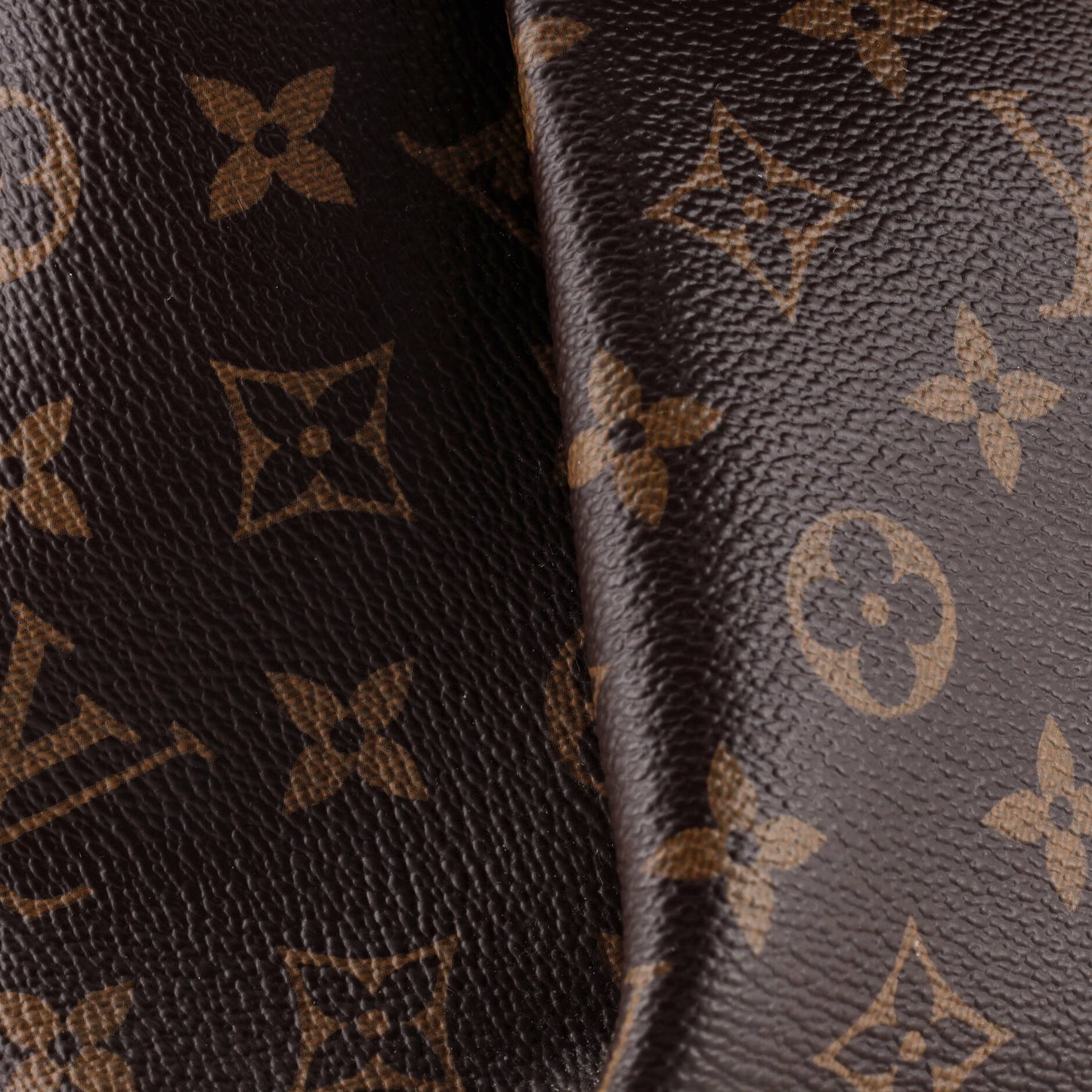 Rivoli Handbag Monogram Canvas PM