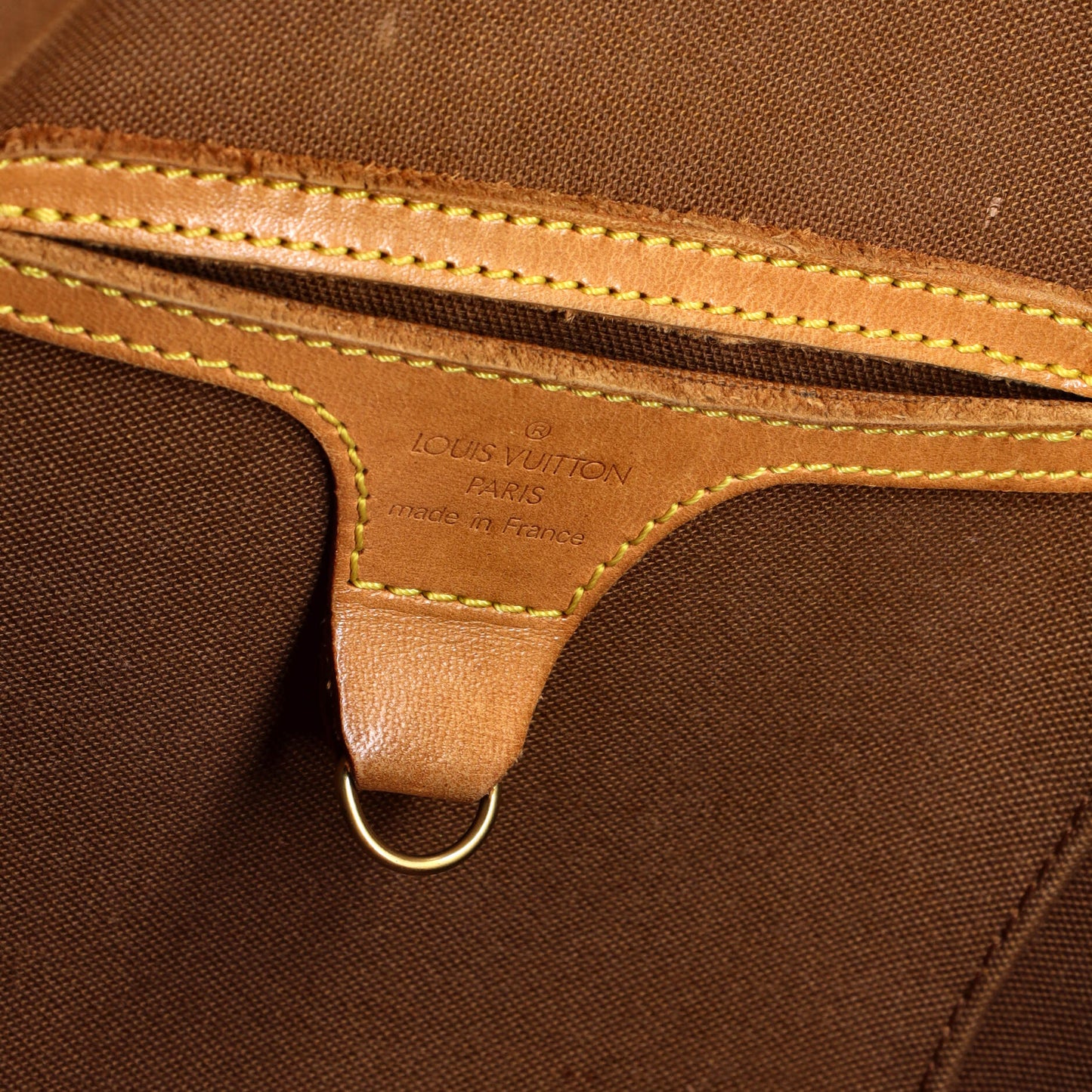 Ellipse Bag Monogram Canvas MM