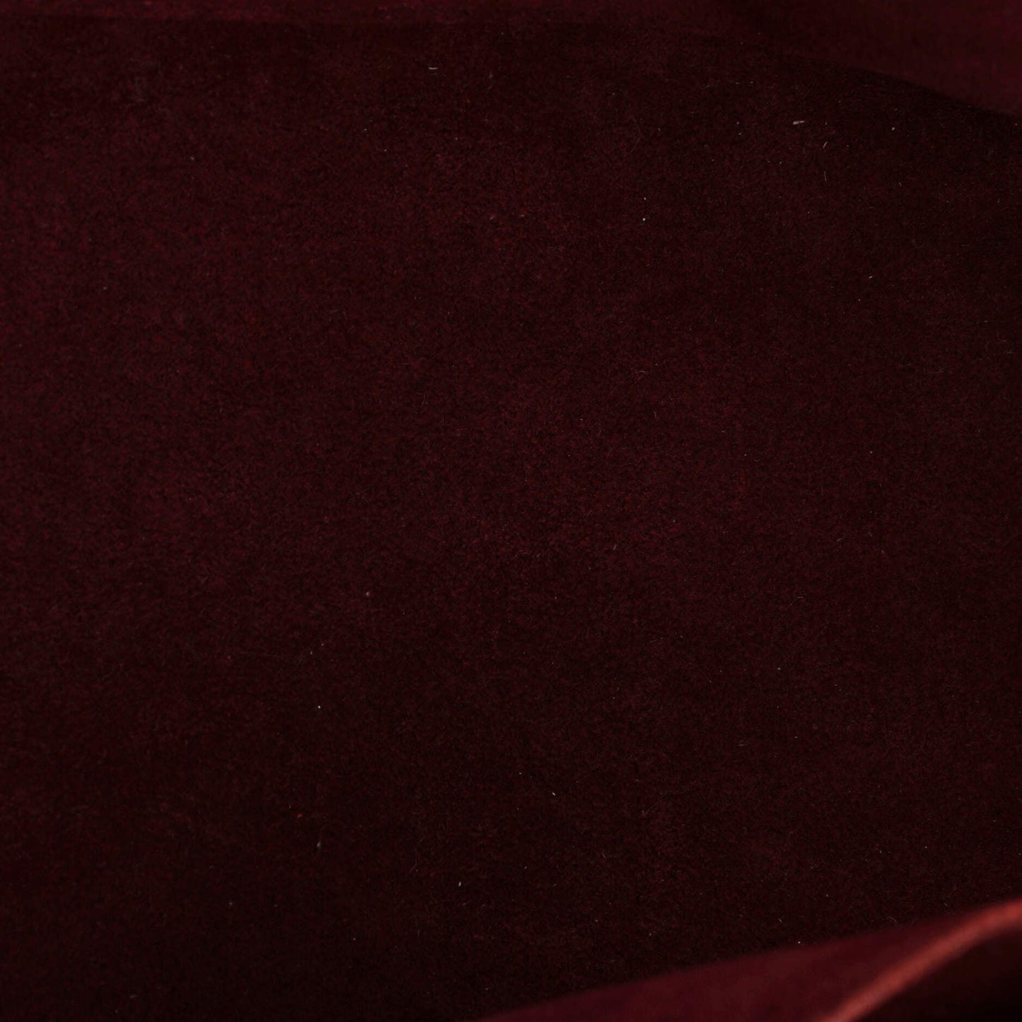 Petit Palais Handbag Monogram Empreinte Giant