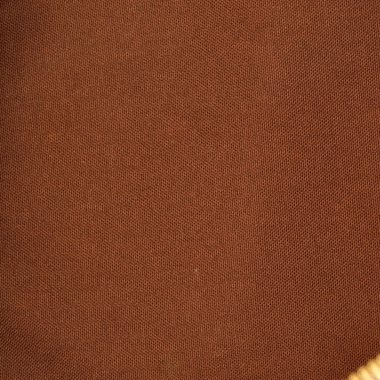 Palermo Handbag Monogram Canvas PM