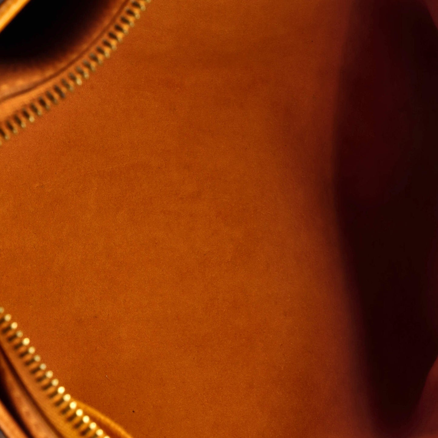 Pallas Tote Monogram Canvas with Leather