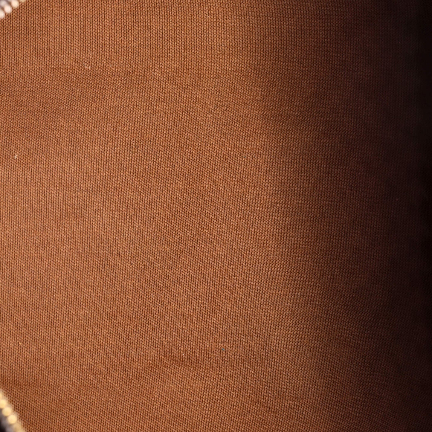 Speedy Handbag Monogram Canvas 40