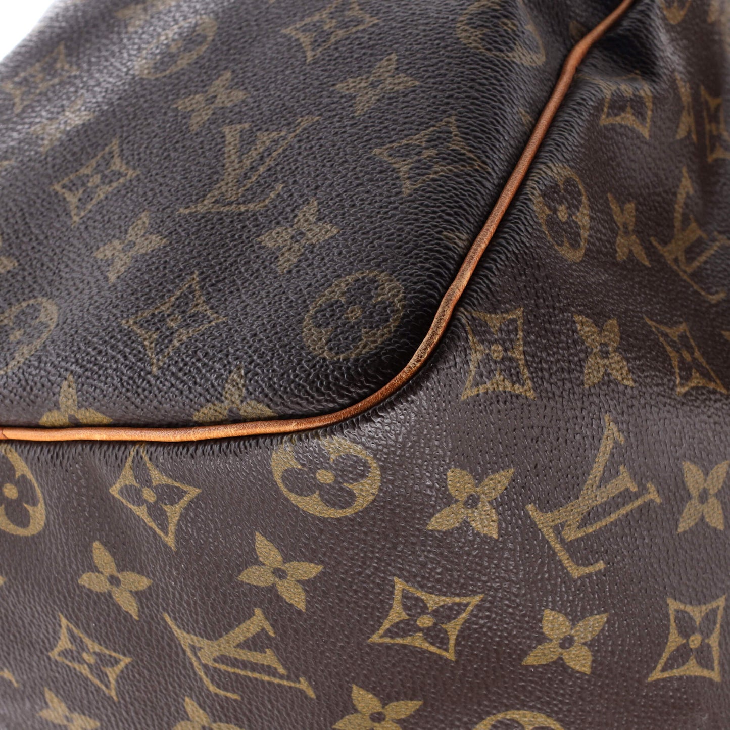 Speedy Handbag Monogram Canvas 40