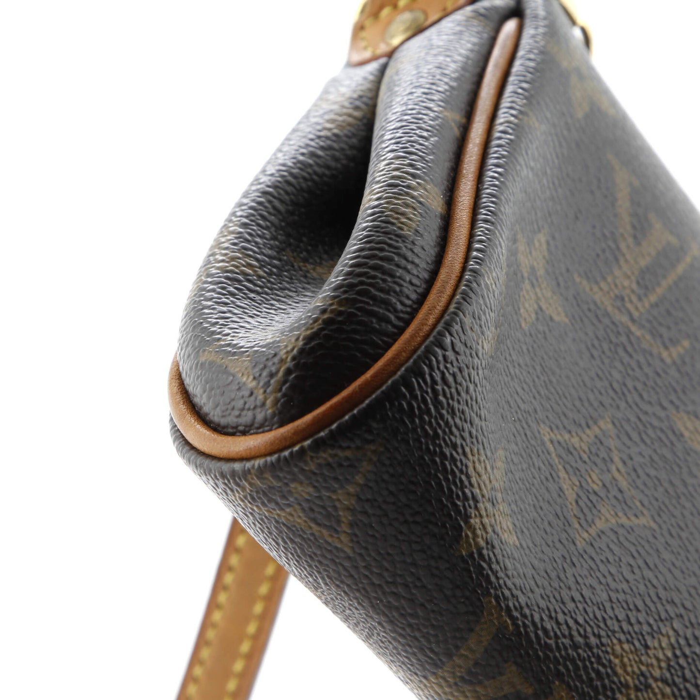 Eva Handbag Monogram Canvas