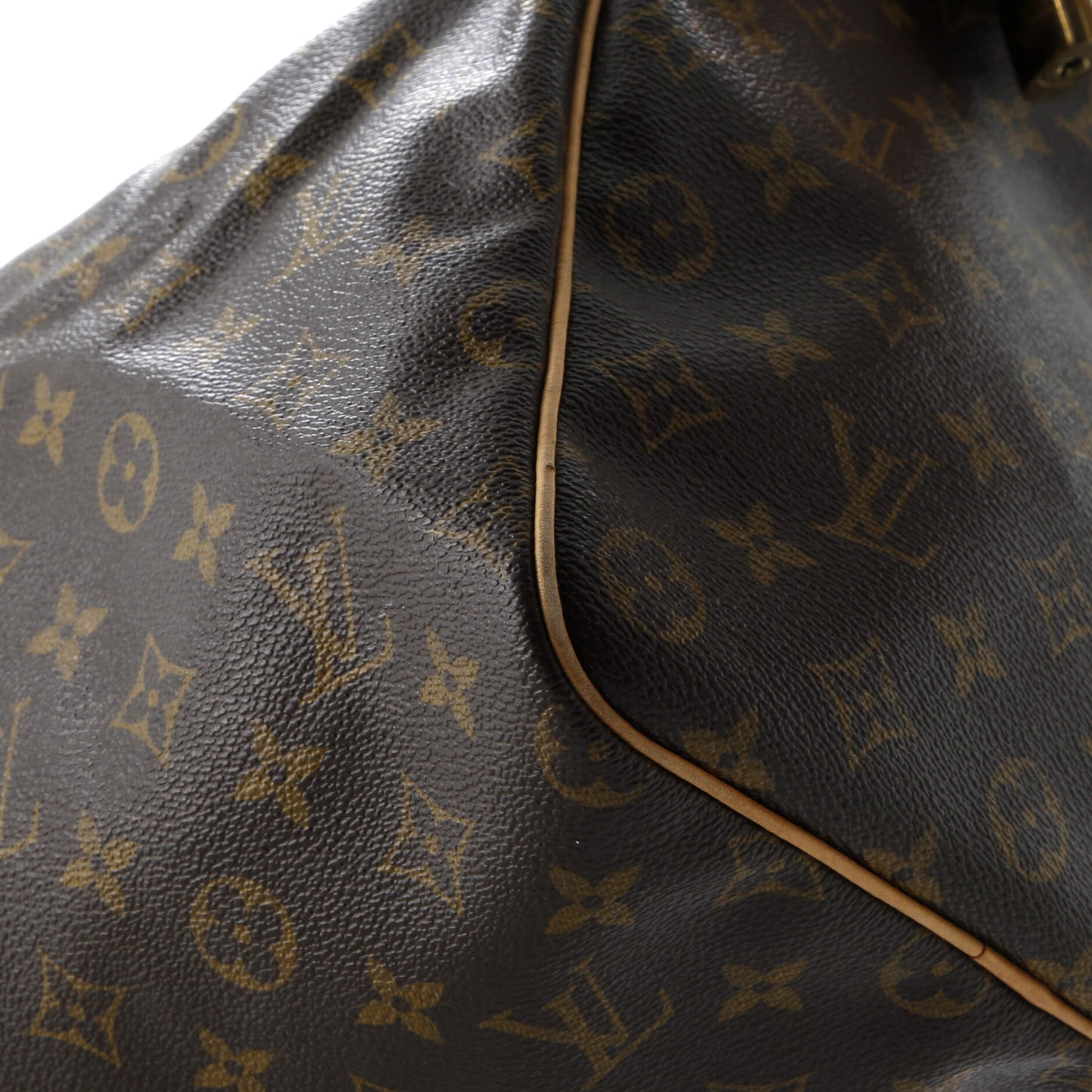 Speedy Handbag Monogram Canvas 40