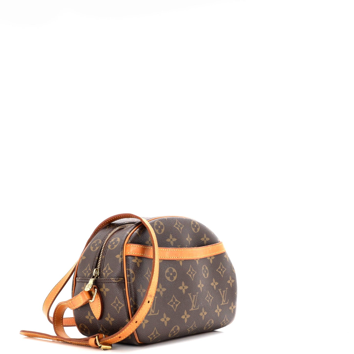 Blois Handbag Monogram Canvas