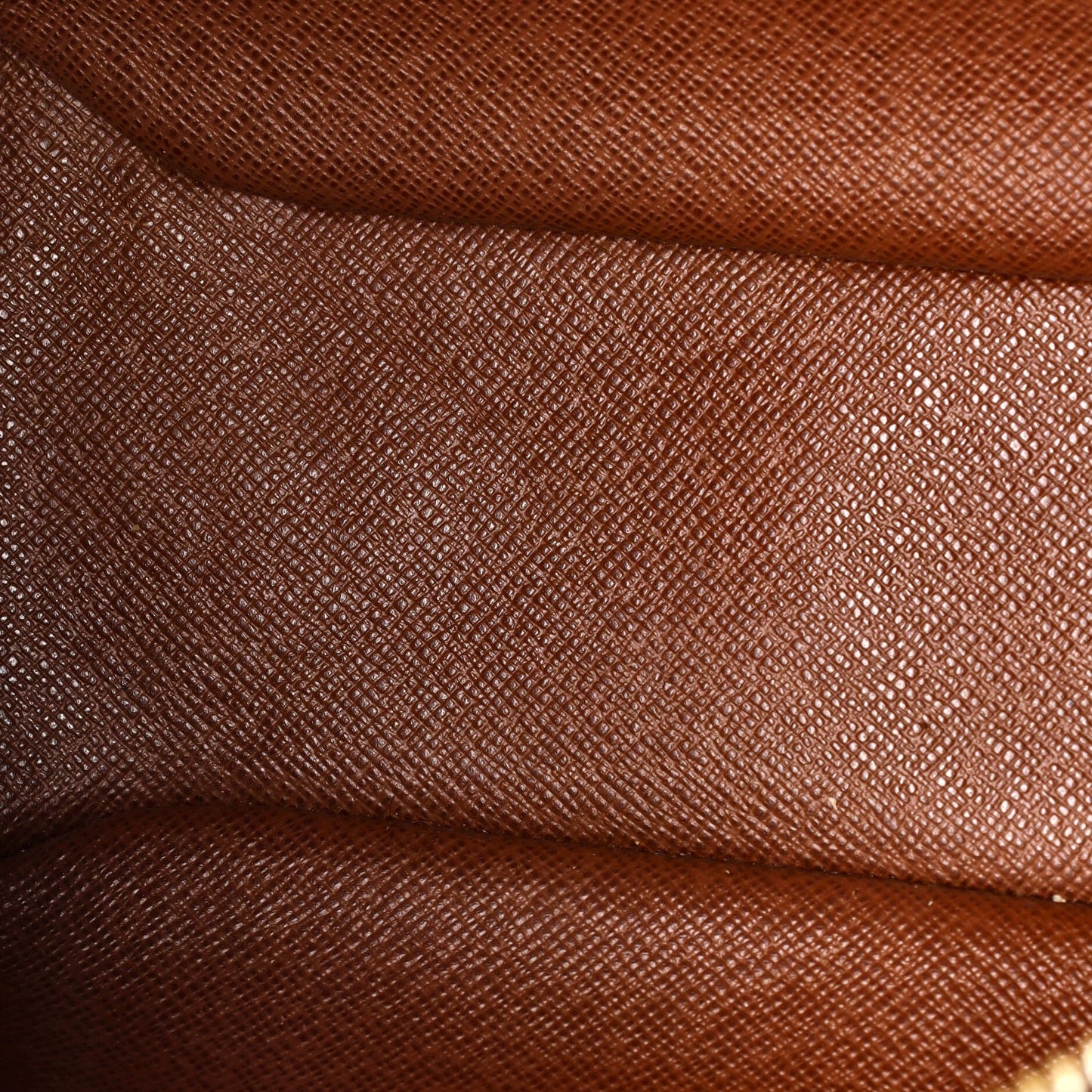 Blois Handbag Monogram Canvas