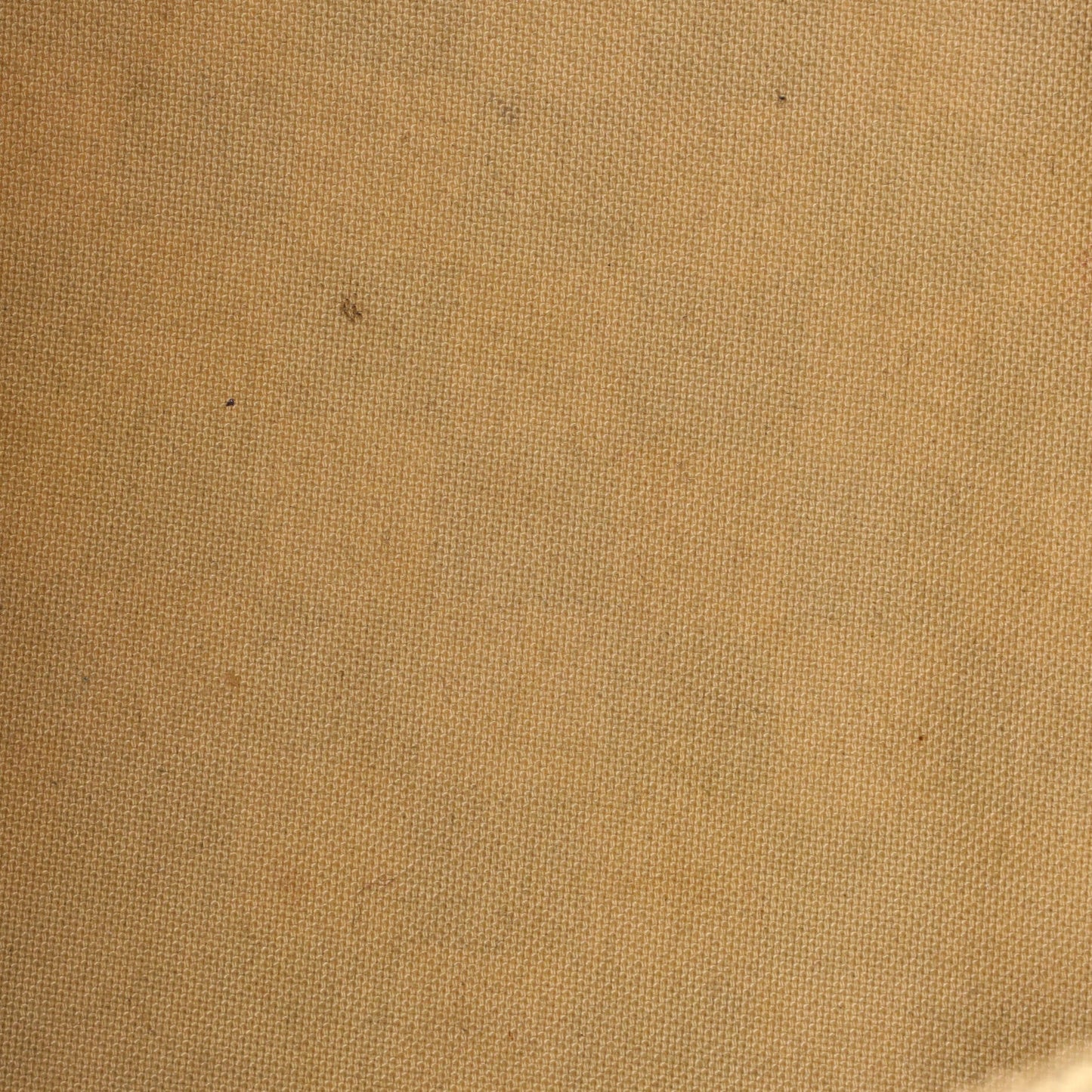 Speedy Handbag Damier 30