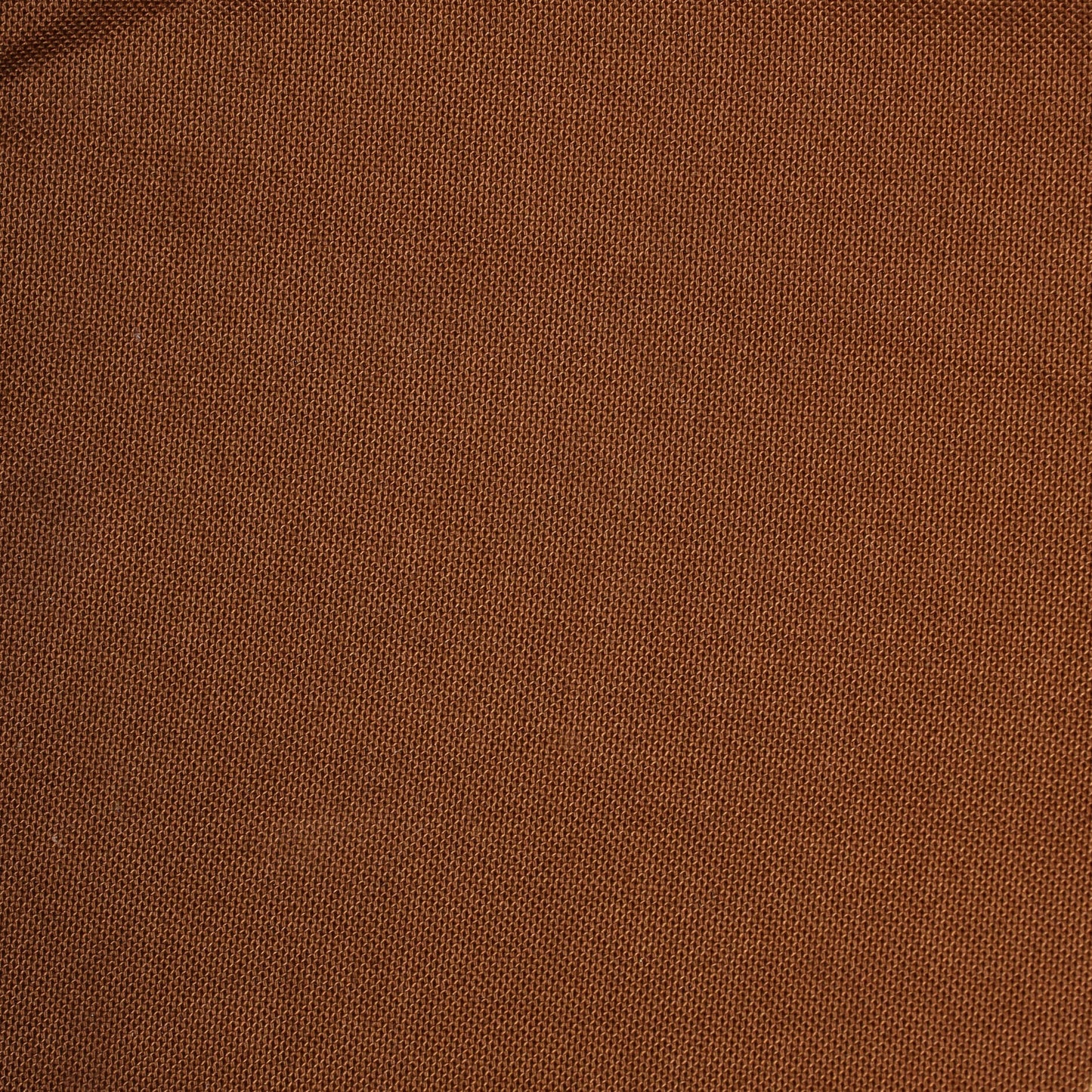 Palermo Handbag Monogram Canvas PM