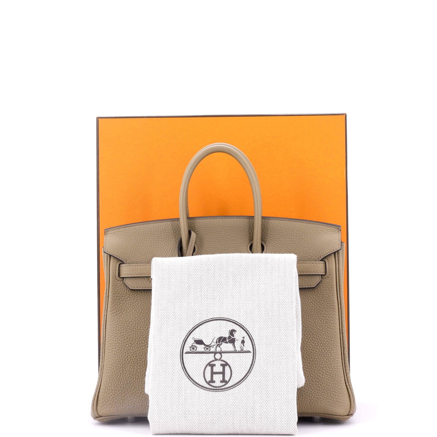 Birkin Handbag Beige Marfa Togo with Palladium Hardware 25