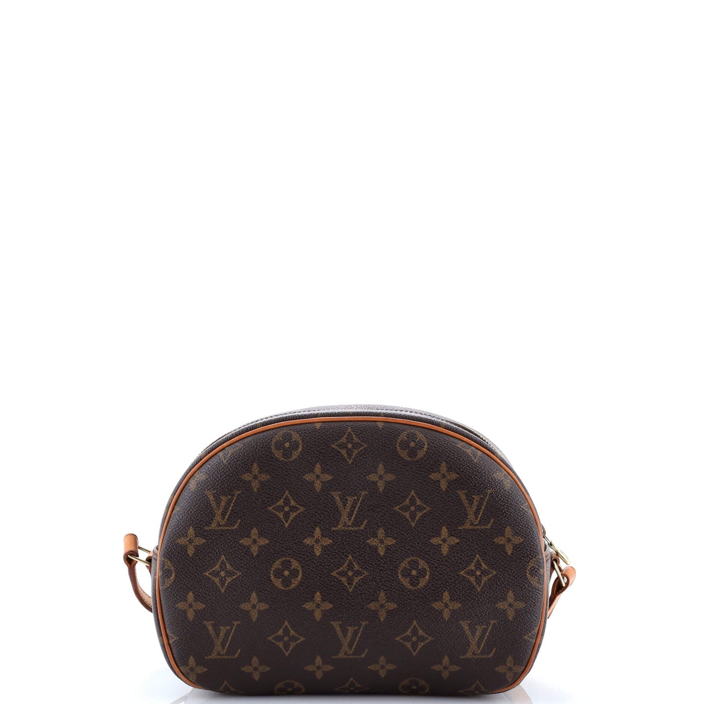 Blois Handbag Monogram Canvas